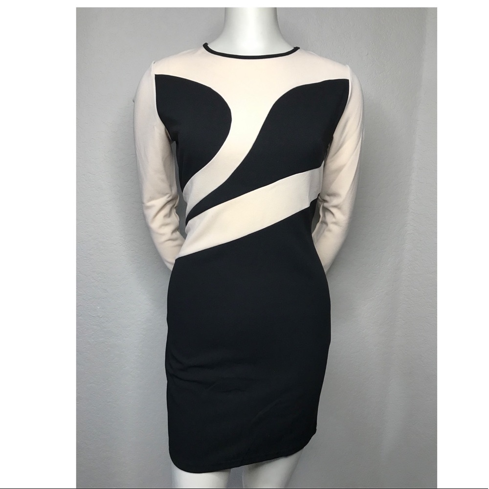 Shein Bodycon Dress